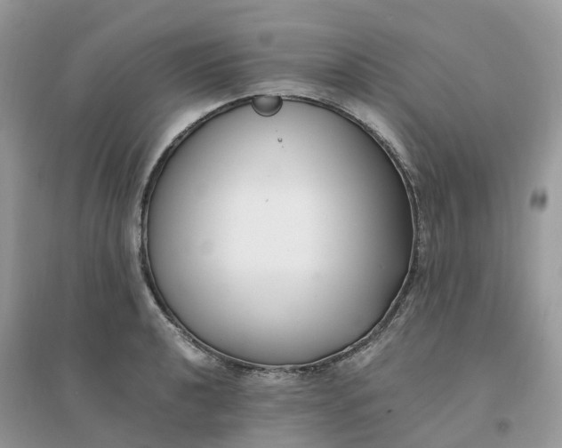 X0000096161040200802011251