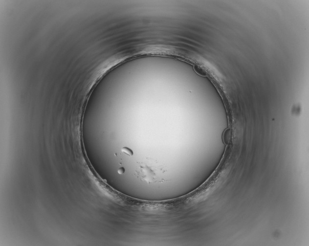 X0000096161041200802011251