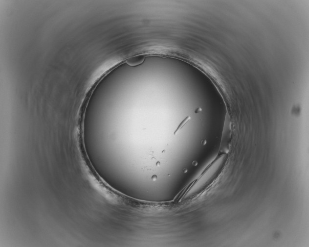 X0000096161042200802011251