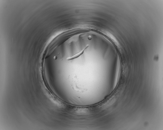 X0000096161043200802011251