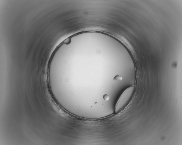 X0000096161044200802011251