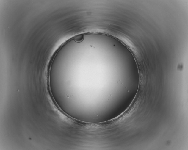 X0000096161046200802011251