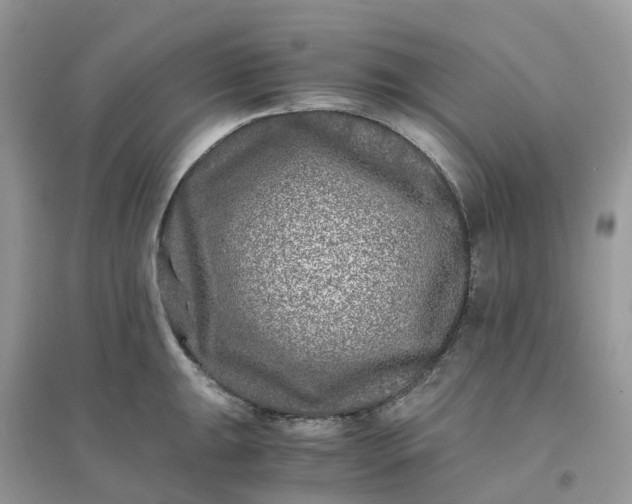 X0000096161047200802011251