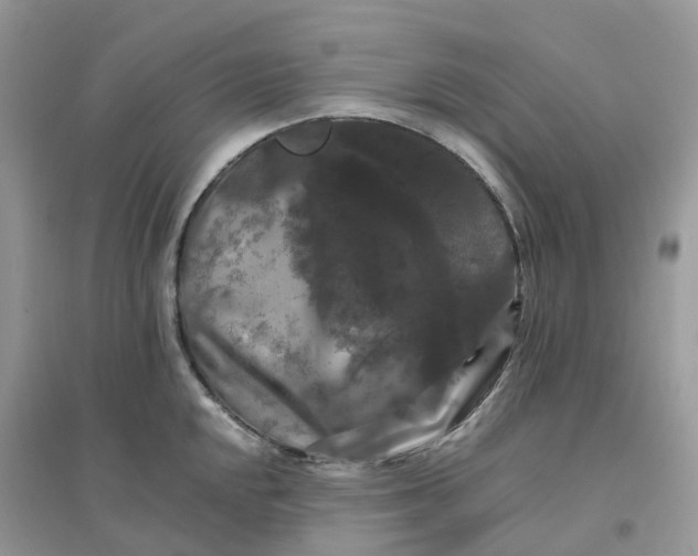 X0000096161048200802011251