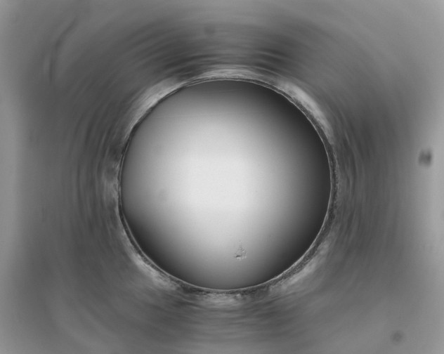 X0000096161049200802011251