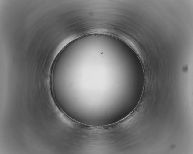 X0000096161050200802011251