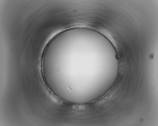 X0000096161051200802011251