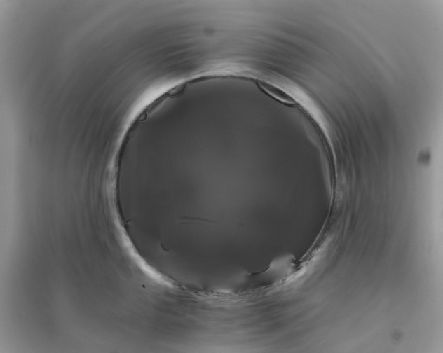 X0000096161053200802011251