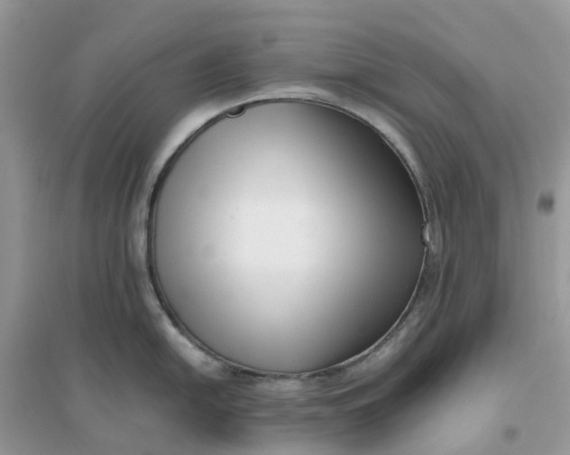 X0000096161054200802011251