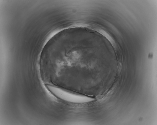 X0000096161055200802011251