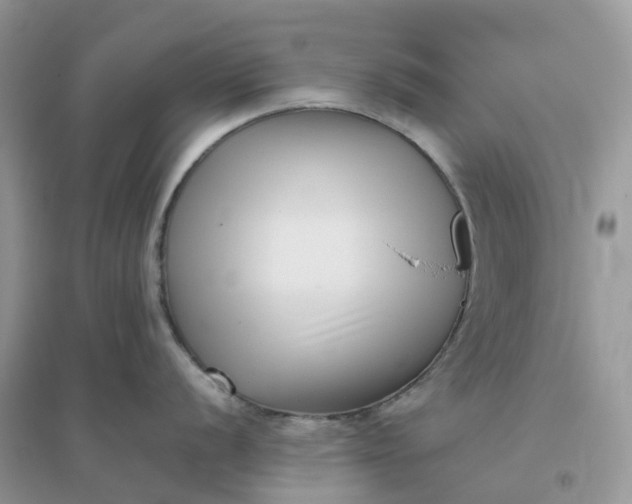 X0000096161056200802011251