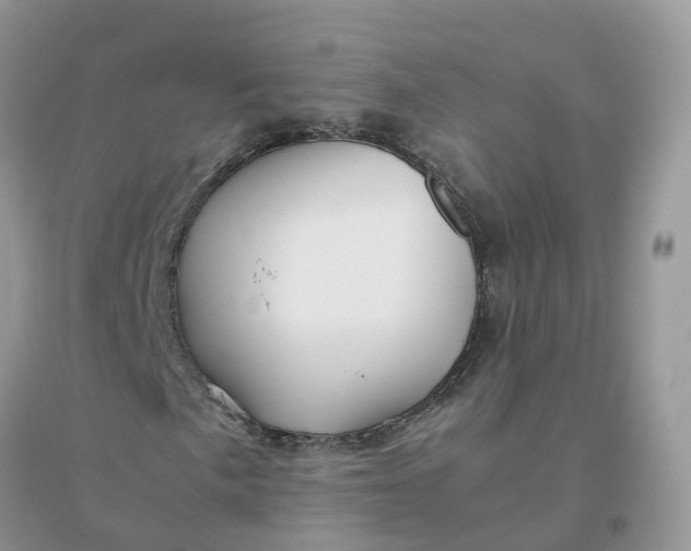 X0000096161057200802011251