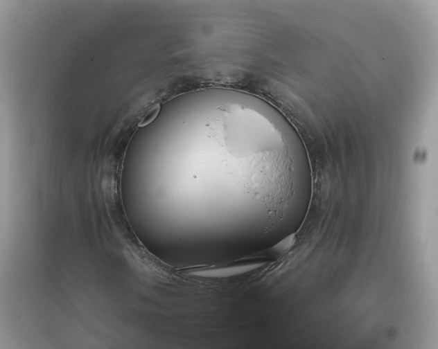 X0000096161058200802011251