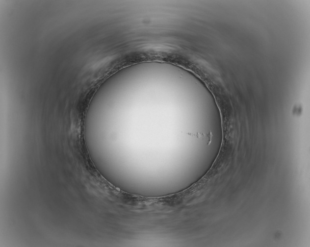 X0000096161061200802011251