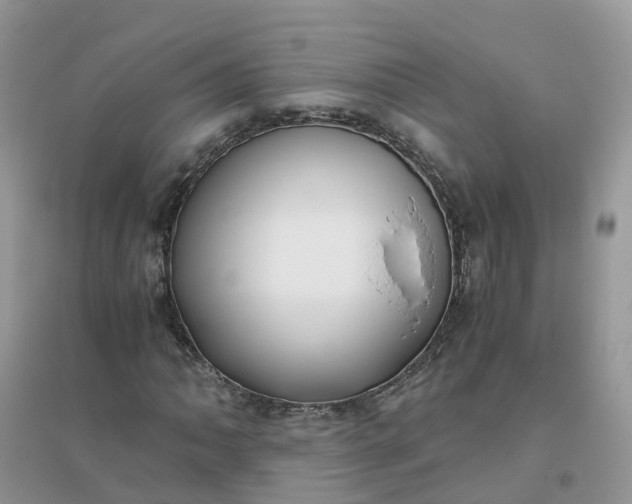 X0000096161062200802011251