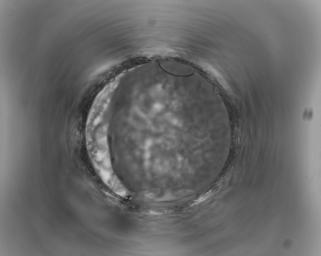 X0000096161063200802011250