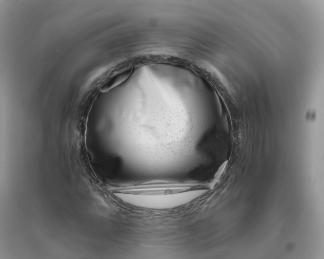 X0000096161064200802011250