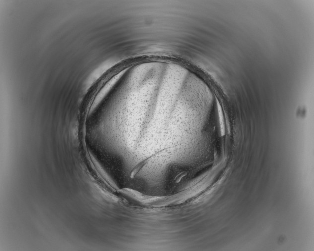 X0000096161066200802011250