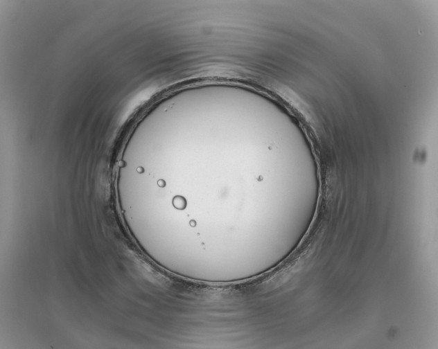 X0000096161067200802011250