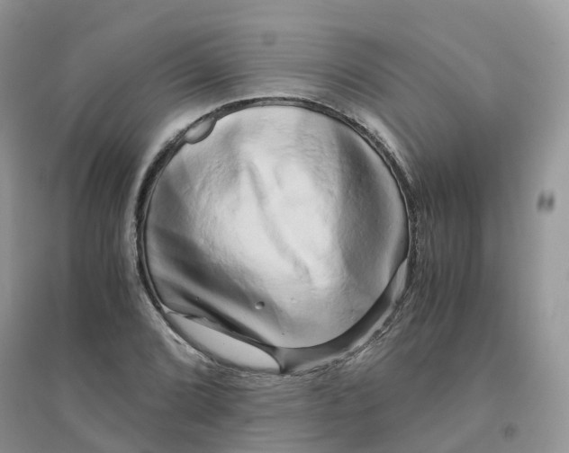 X0000096161072200802011250