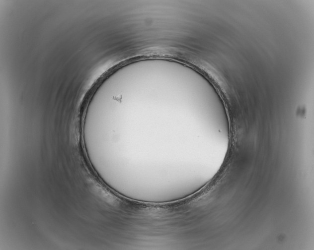 X0000096161075200802011250