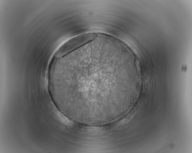 X0000096161076200802011250