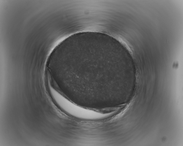 X0000096161077200802011250