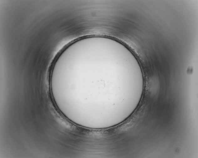 X0000096161078200802011250