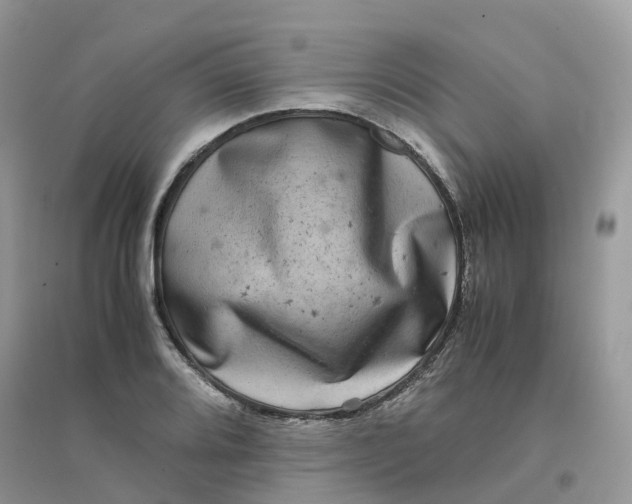 X0000096161080200802011250