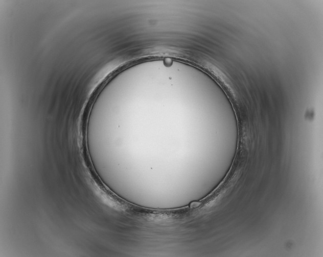 X0000096161082200802011250