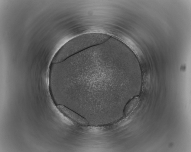 X0000096161084200802011250