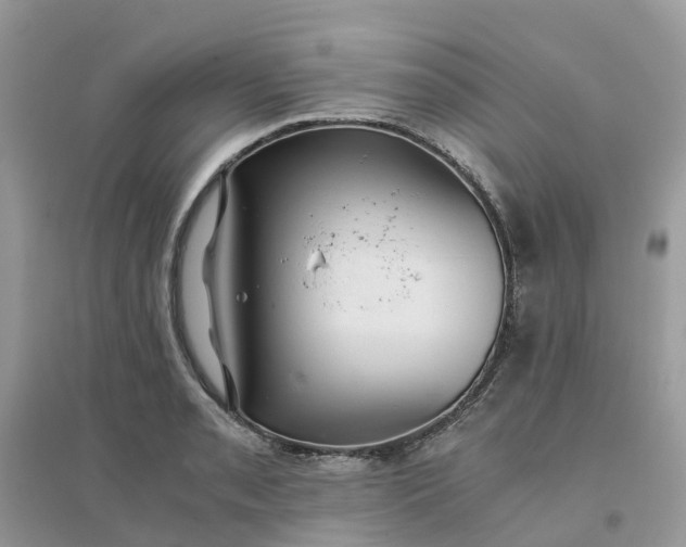 X0000096161085200802011250