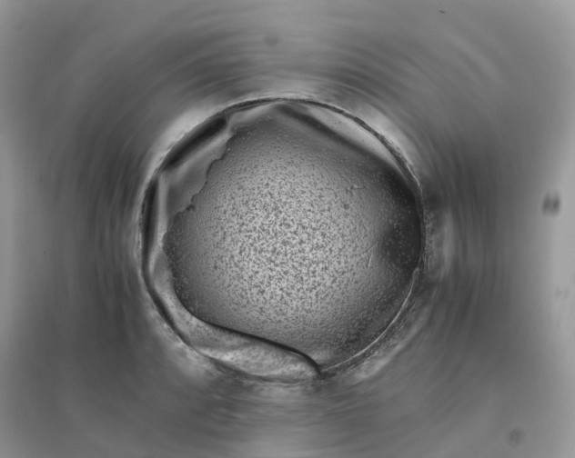 X0000096161088200802011250