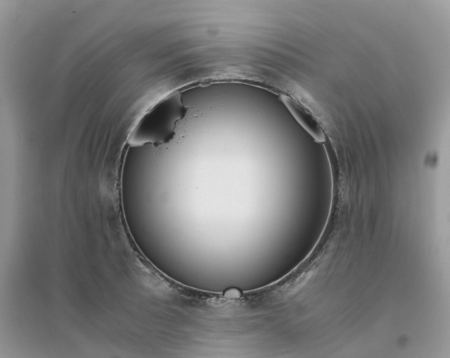 X0000096161089200802011250