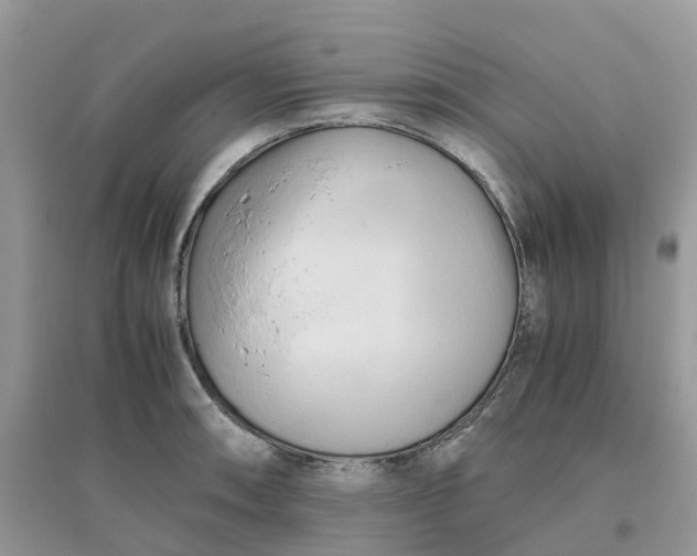 X0000096161090200802011250