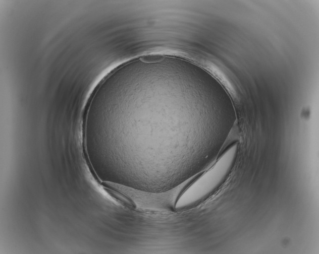 X0000096161092200802011250