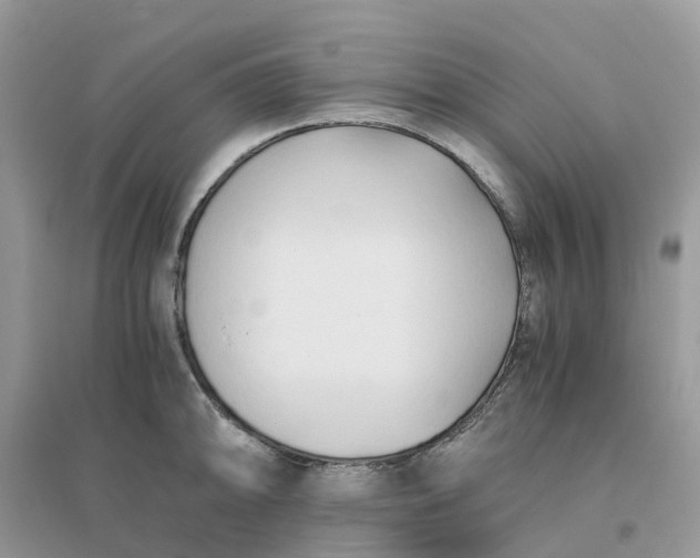 X0000096161094200802011250