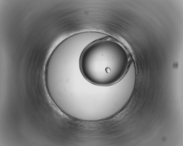 X0000096161096200802011250