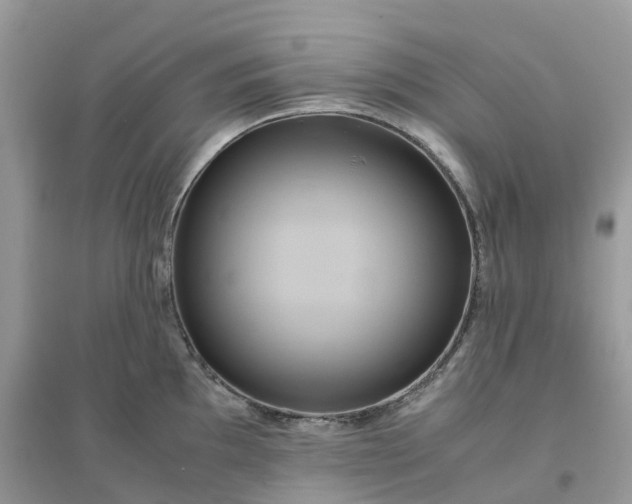 X0000096161097200802011250