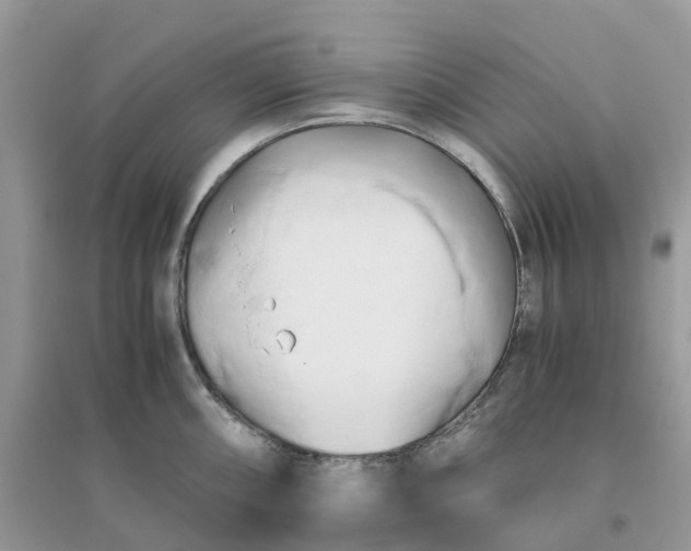 X0000096161098200802011250