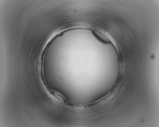 X0000096161099200802011250