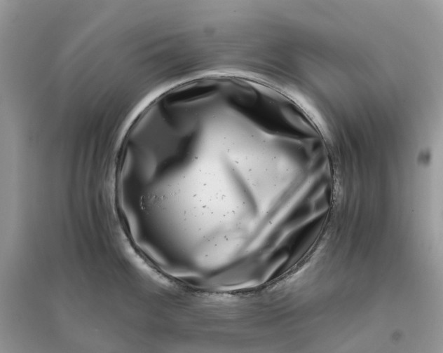 X0000096161100200802011250