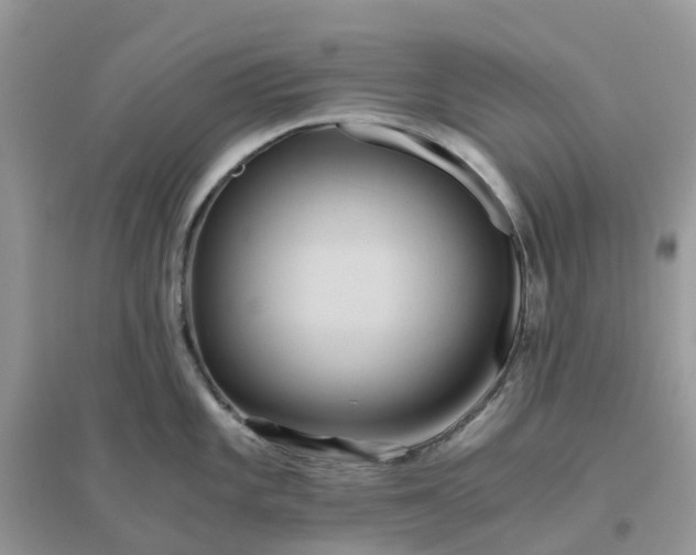 X0000096161101200802011250