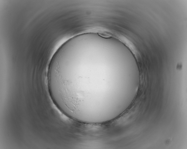 X0000096161103200802011250