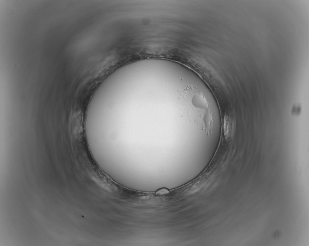 X0000096161107200802011249