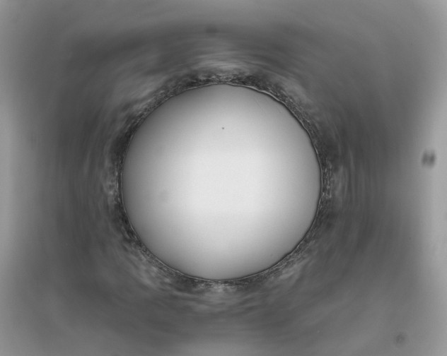 X0000096161109200802011249