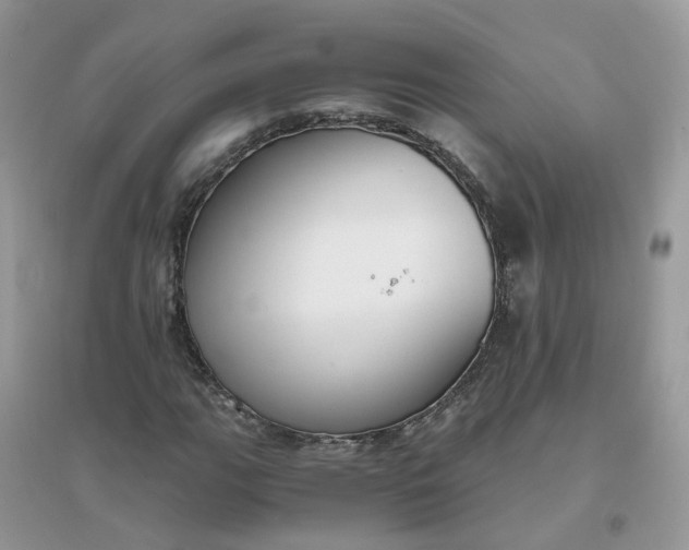 X0000096161111200802011249