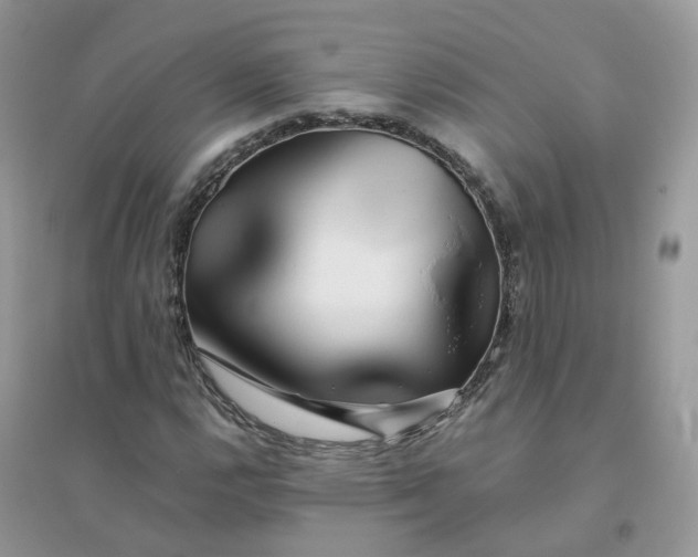 X0000096161112200802011249