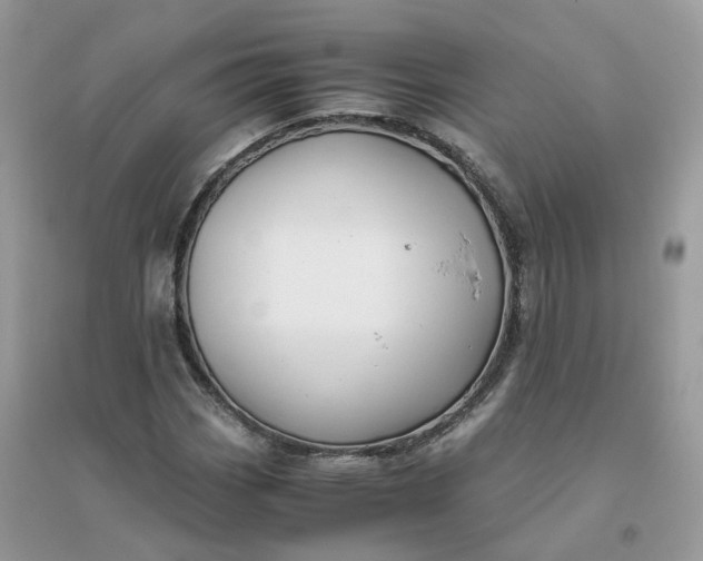 X0000096161113200802011249