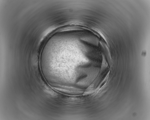 X0000096161115200802011249